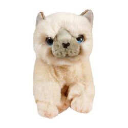 М&acuteяка іграшка котик кошеня кіт Keel toys