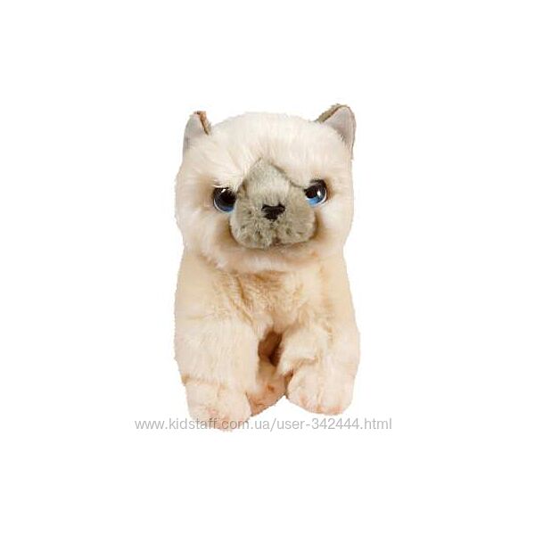 М&acuteяка іграшка котик кошеня кіт Keel toys
