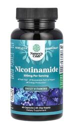 Natures Craft, нікотинамід, 500 мг, 60 капсул, b3