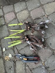 #7: Приклади поділок 