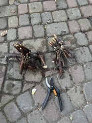 #8: Приклади поділок 