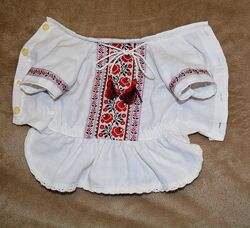 Сукня вишиванка для собаки.
