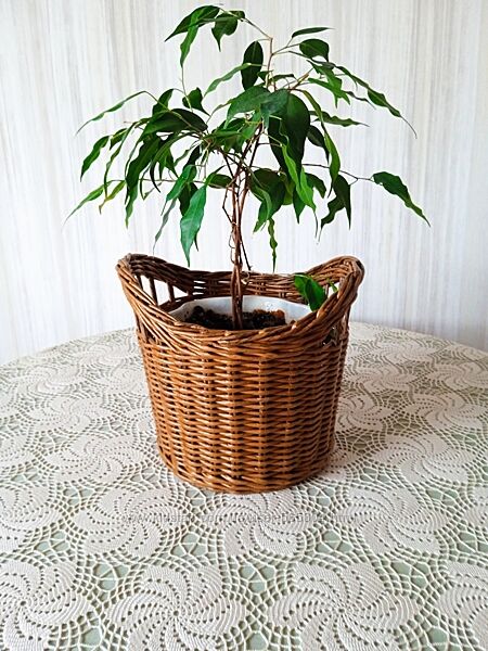 Плетеная корзинка кашпо