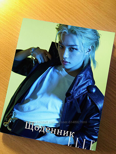 Щоденник Стрей кідс Фелікс Stray Kids Дневник Феликс Стрэй кидс