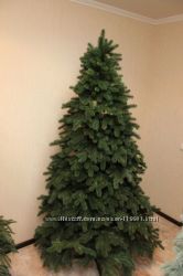 #3: ялина Еліт