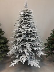 #5: Бельгійська засн 2,1