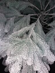 #7: Еліт засніж