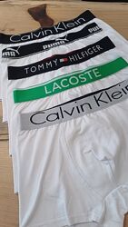 Набір чоловічих  боксерів  White 