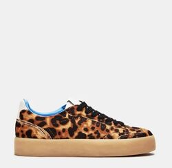 Леопардовые кеды steve madden