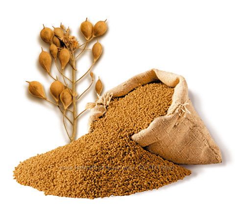 Масло рыжиковое, холодного отжима 500мл.