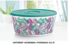 #4: 4,3 л - 1200 грн