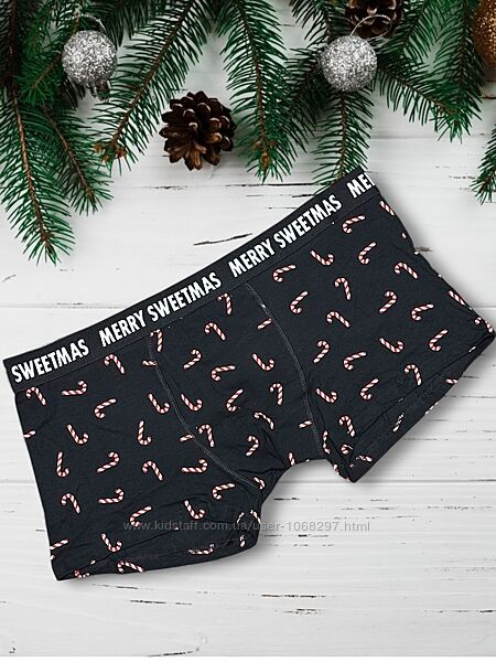 Новорічні, різдвяні чоловічі труси боксери Pepco, XXL