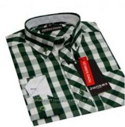 #4: зеленая клетка