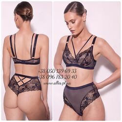 #3: Alles Volare Push-Up