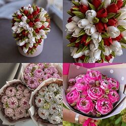 Елена Попова elenapo11 Весна с Еленой Поповой. Тариф Продвинутый 2024