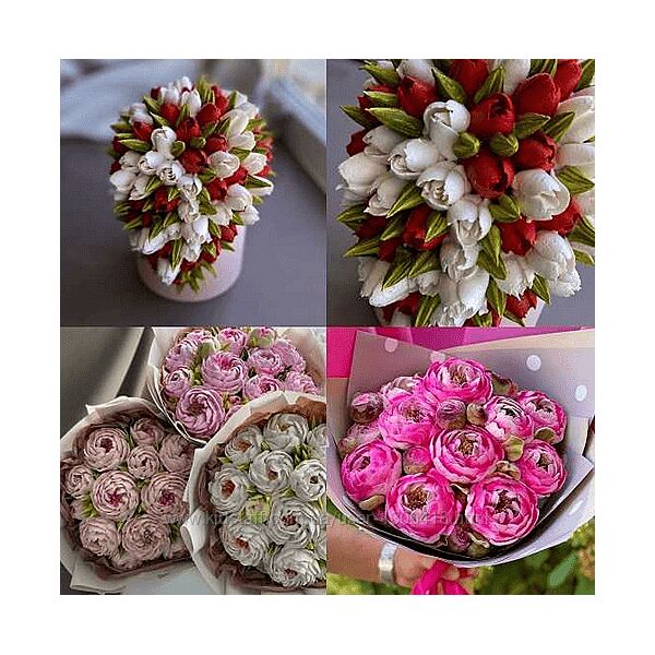 Елена Попова elenapo11 Весна с Еленой Поповой. Тариф Продвинутый 2024