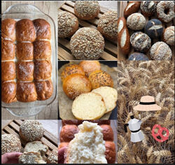 Уроки без закваски от школы PekarKO. Все три Ольга Кащиц