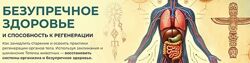 Безупречное здоровье и способность к регенерации 2024. Александр Салогуб