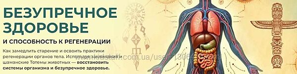 Безупречное здоровье и способность к регенерации 2024. Александр Салогуб