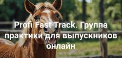 Елена Веселаго Profi Fast Track. Группа практики для выпускников