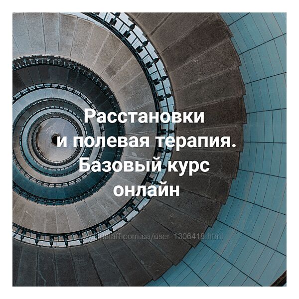 Елена Веселаго Что ждать от расстановок Институт открытого поля 2024