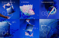 Рони Белова, Андрей Дубовик Торт-рыбка. Урок о дизайне торта