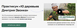 Дмитрий Звонка 10 деревьев Дмитрия Звонка 2025