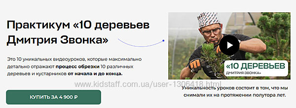 Дмитрий Звонка 10 деревьев Дмитрия Звонка 2025