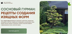 Андрей Дарусенков Сосновый гурман рецепты создания изящных форм 2025
