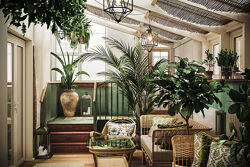 Prodecoring Фитодизайн в интерьере