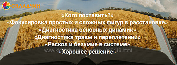 Елена Веселаго Чтение поля сложные истории. Экспериментальный семинар