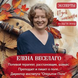 Елена Веселаго Большое решение 2024