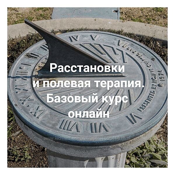 Елена Веселаго Расстановки и полевая терапия. Базовый курс 2023