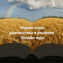 Елена Веселаго Чтение поля, диагностика и решения. Расстановки и полевая 4
