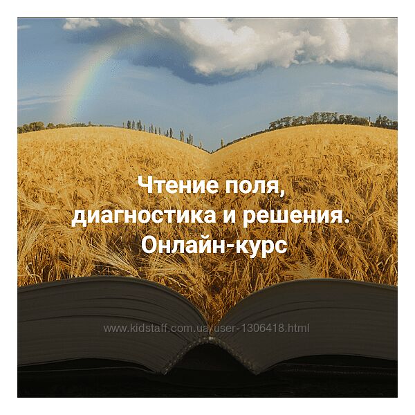 Елена Веселаго Чтение поля, диагностика и решения. Расстановки и полевая 4