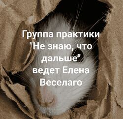 Елена Веселаго Не знаю, что дальше Институт Открытого поля