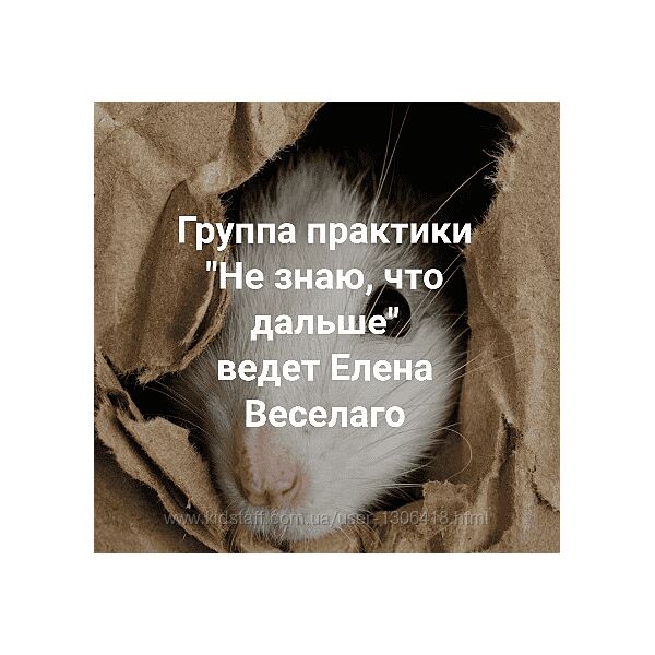 Елена Веселаго Не знаю, что дальше Институт Открытого поля