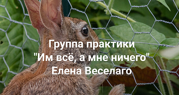 Елена Веселаго Им всё, а мне ничего 2024