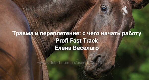 Елена Веселаго Травма и переплетение с чего начать работу. Группа практики