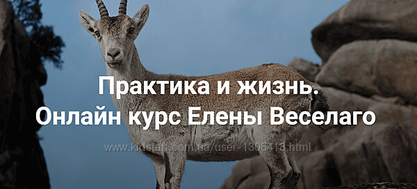 Елена Веселаго Практика и жизнь. Ступень 1 2024