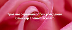 Елена Веселаго Травмы беременности и рождения Институт Открытого Поля