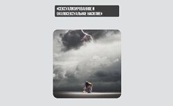 Инна Литвиненко Сексуализированное и околосексуальное насилие 2024