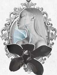 Аглая Датешидзе, Юлия Перумова Курс про нарциссическую травму Отражение