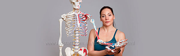 Александра Кибзий Анатомический минимум тренера