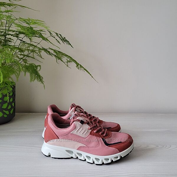 Кросівки шкіряні Оригінал Ecco Multi-Vent 880144 рр.35