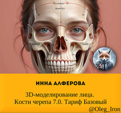 Инна Алферова 3D-моделирование лица. Кости черепа 7.0. Тариф Базовый 