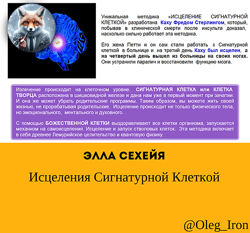 Исцеления Сигнатурной Клеткой Элла Сехейя