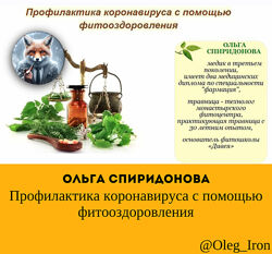 Профилактика коронавируса с помощью фитооздоровления Ольга Спиридонова
