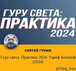 Гуру света Практика 2024. Тариф Базовый 2024, Сергей Гунин