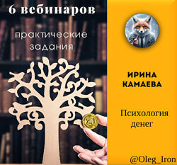 Психология денег, Ирина Камаева 